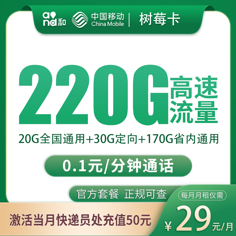 移动树莓卡：29元220G【只发重庆】+0.19元/分钟通话